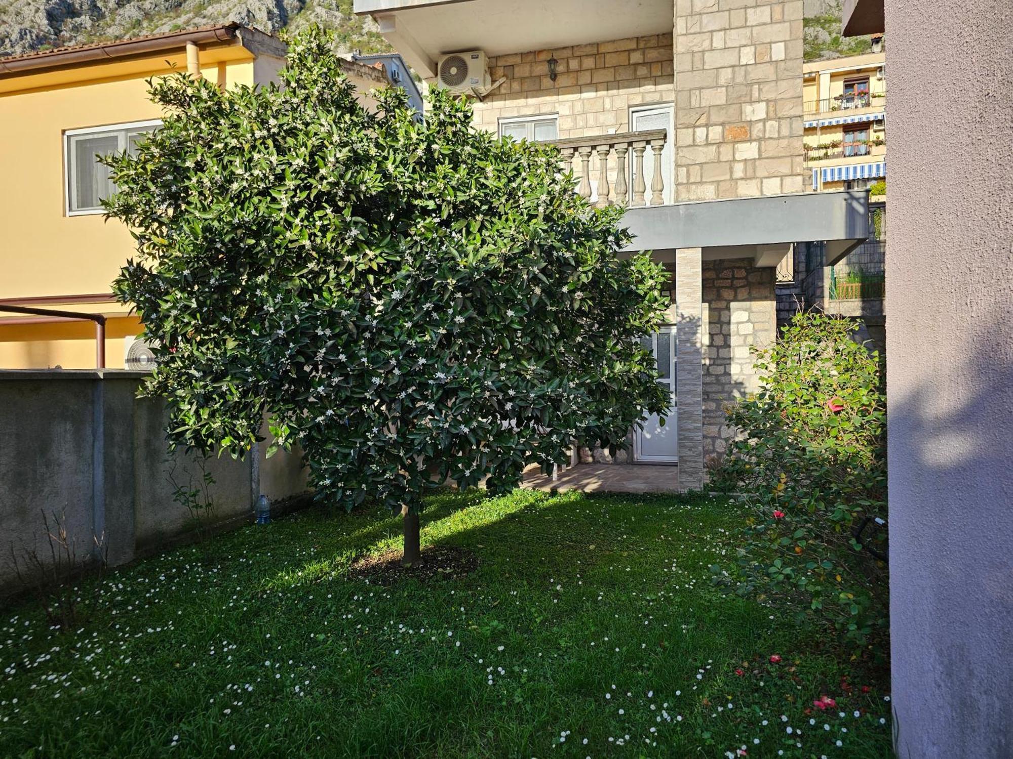 Appartamento Modern Seaside Escape - Stunning Sea View - Private & Stylish Cattaro Esterno foto